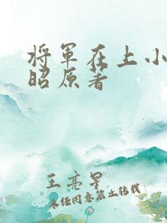 将军在上小说叶昭原著