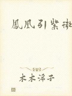 凤凰引紫微流年