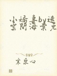 小娇妻by远上云间海棠免费阅读