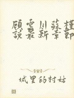 顾云川苏槿月小说最新章节免费阅读