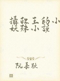 摄政王的小闲妻妖殊小说