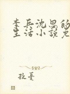 李兵沈思的快乐生活小说免费阅读