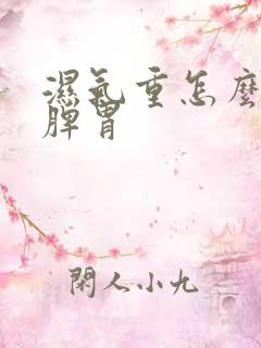 湿气重怎么调理脾胃