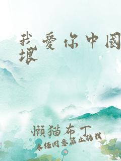 我爱你中国薛皓垠