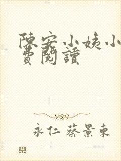 陈安小姨小说免费阅读