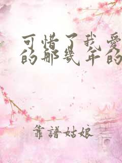 可惜了我爱着你的那几年的小说