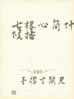 七根心简什么时候播