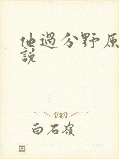 他过分野原著小说