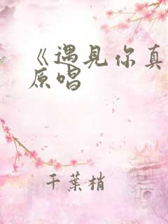 《遇见你真好》原唱