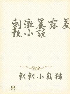 刺激暴露羞耻调教小说