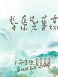 我在风花雪月里等你免费txt下载