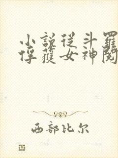 小说从斗罗开始俘获女神阅读