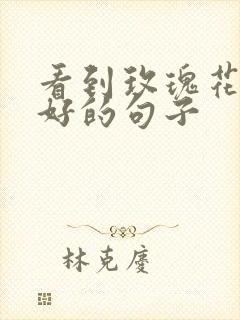 看到玫瑰花心情好的句子