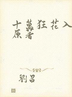 十万狂花入梦来原著