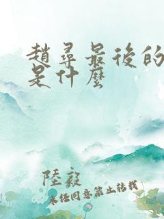 赵寻最后的结局是什么