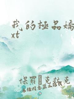 我的极品娇妻txt