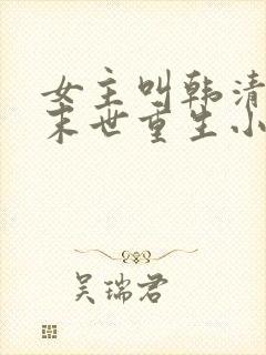 女主叫韩清夏的末世重生小说