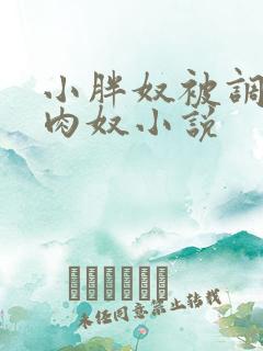 小胖奴被调教成肉奴小说