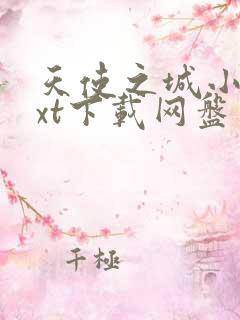 天使之城小说txt下载网盘