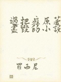 过把瘾原著三观尽毁的小说