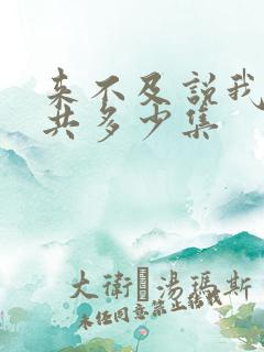 来不及说我爱你共多少集