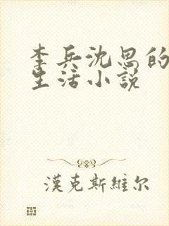 李兵沈思的快乐生活小说