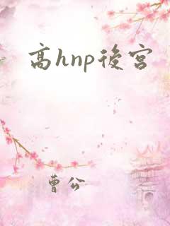 高hnp后宫