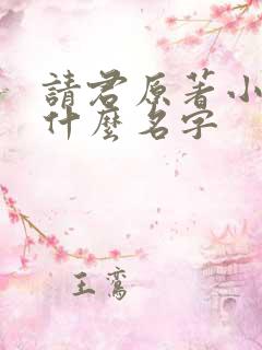 请君原著小说叫什么名字