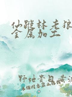 仙踪林老狼信息金属加工