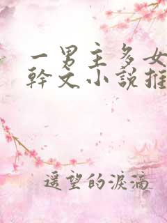 一男主多女主高干文小说推荐