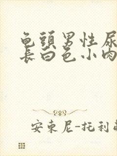 龟头男性尿道口长白色小肉粒