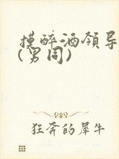 摸醉酒领导裤裆(男同)