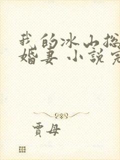 我的冰山总裁未婚妻 小说完整板