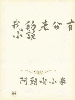 我的老公有五个小说