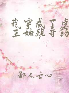 我穿成了虐文女主她亲哥的小说讲的什么