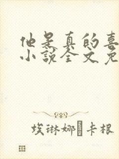 他是真的喜欢你小说全文免费阅读