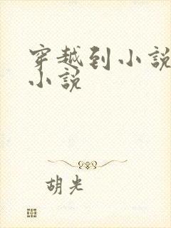 穿越到小说里的小说