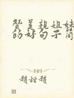 赞美亲姐妹情深的好句子简短