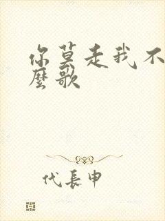 你莫走我不走什么歌