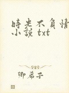 时光不负情深 小说 txt
