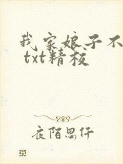 我家娘子不对劲 txt精校