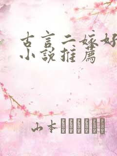 古言二嫁好看的小说推荐