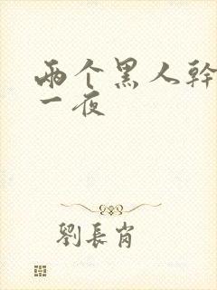 两个黑人干了我一夜