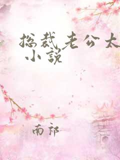 总裁老公太霸道 小说