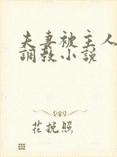 夫妻被主人一起调教小说