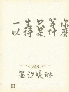 一生只等你温柔以待是什么歌