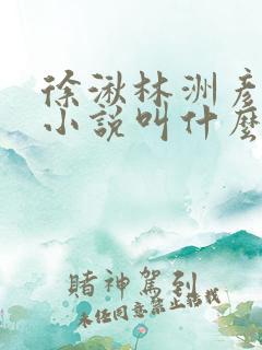 徐湫林洲彦原著小说叫什么