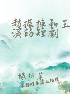 赵振栋和王小亿演的短剧