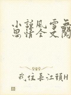 小说风雪无尽相思情全文阅读