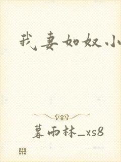我妻如奴小说